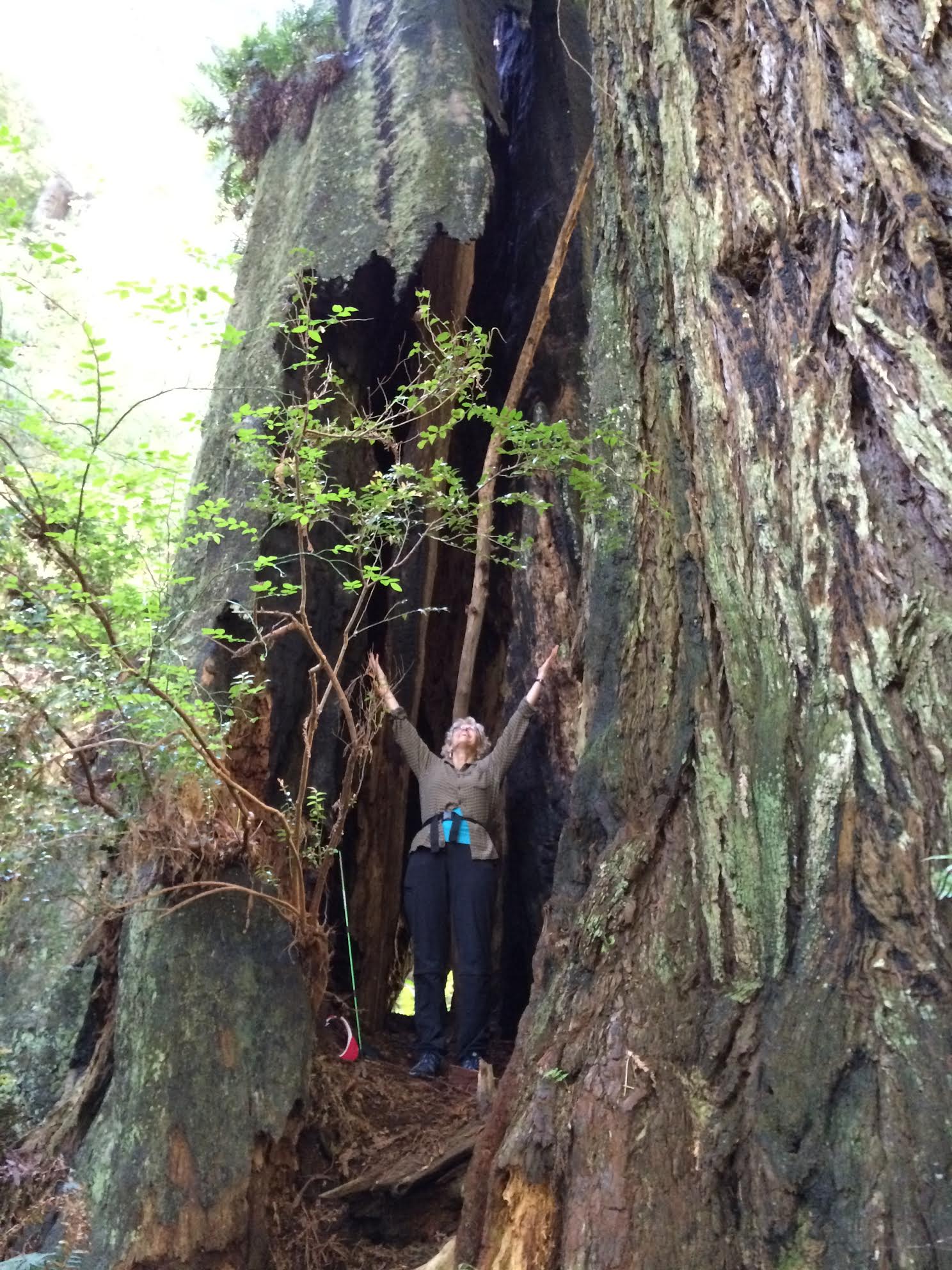Colleen in the woods